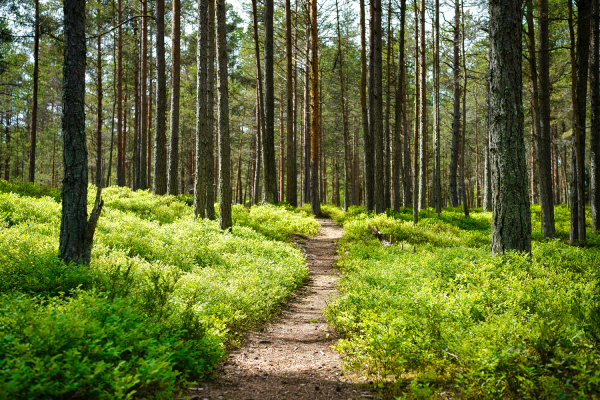 Best Hikes In Rhode Island