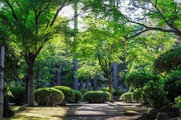 Gardens in Rhode Island